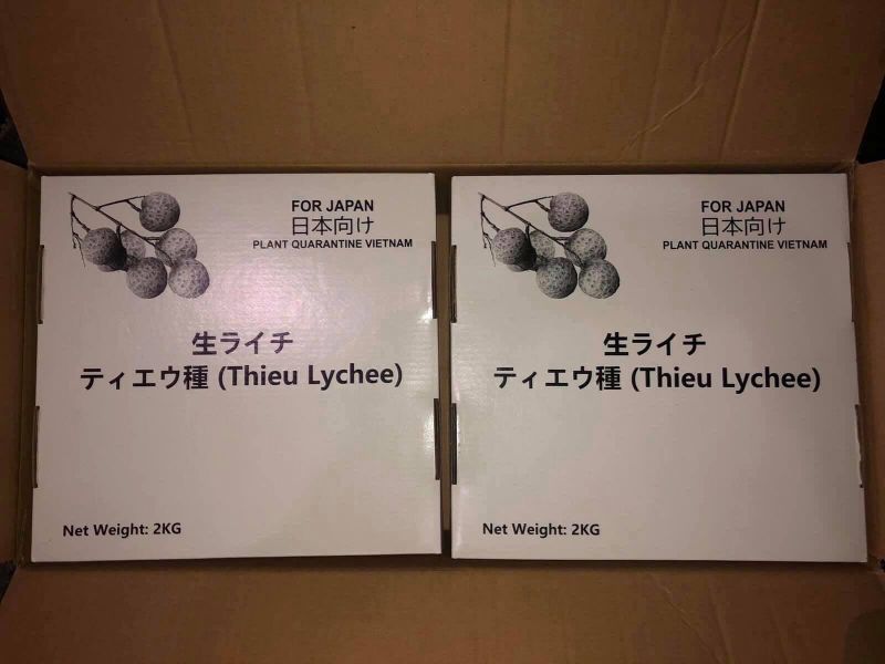 vải thiều lục ngạn xuất khẩu sang nhật